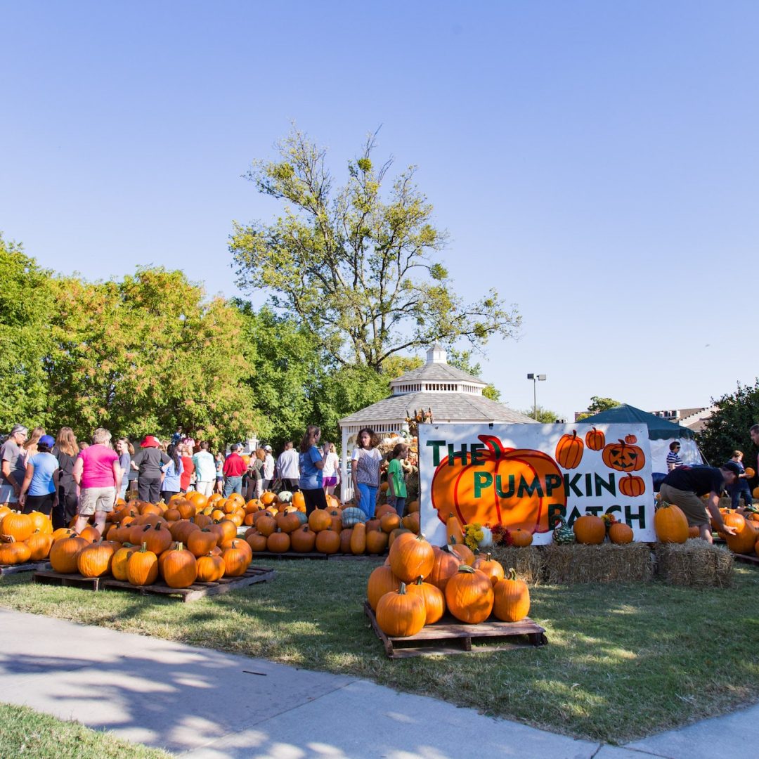 Pumkins Unloading 2016-2552 copy