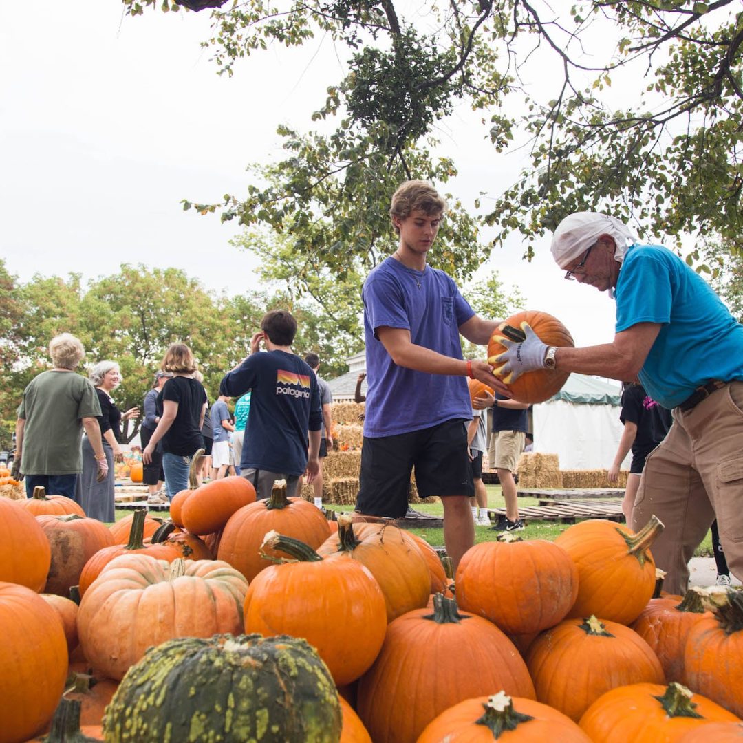 Pumpkins2017-9860