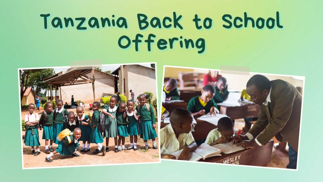 Tanzania Offering - TV Slide 2024 (2)